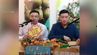 胖子娱乐吃瓜厅,娱乐与态度的双重魅力