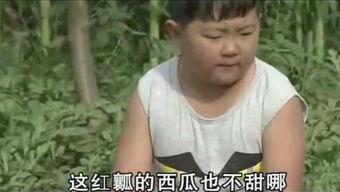 胖子娱乐吃瓜厅,娱乐与态度的双重魅力
