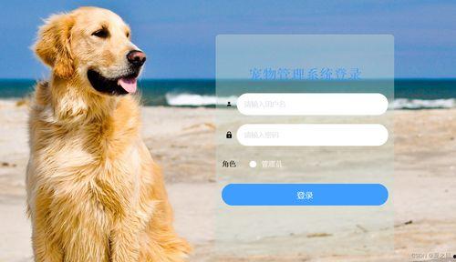 娱乐吃瓜酱宠物收养,娱乐吃瓜酱带你走进温馨的宠物世界