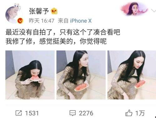 娱乐吃瓜酱自己和解,自创与解构，揭秘娱乐圈幕后风云