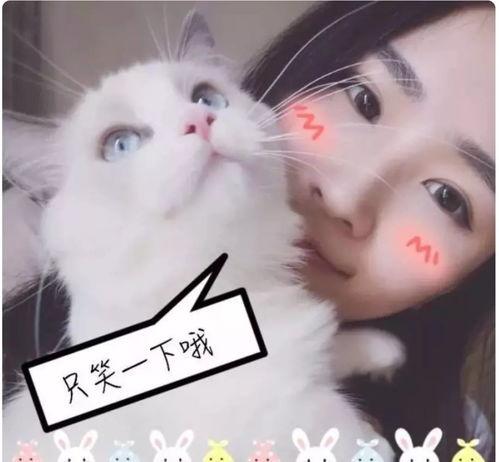 娱乐吃瓜喵姐是谁呀,网络红人的魅力与影响力