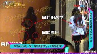 娱乐圈吃瓜爆料陈思诚,揭秘背后的真相与争议