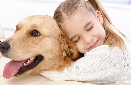 娱乐吃瓜菌宠物