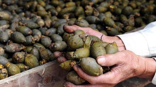 娱乐吃瓜酱过年焦虑等级